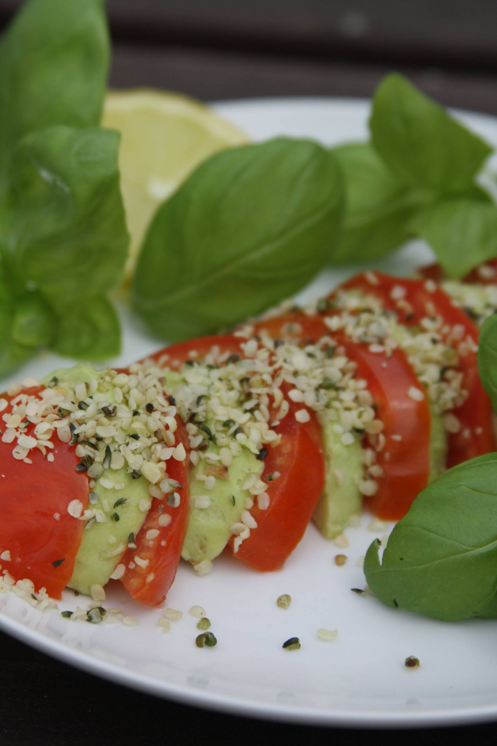 Einfache Avocado-Tomaten - fox-walk.de